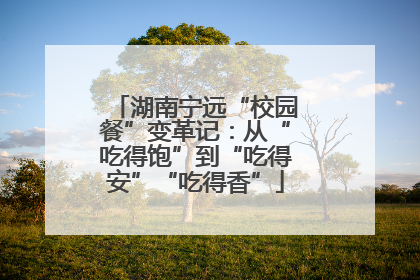 湖南宁远“校园餐”变革记：从“吃得饱”到“吃得安”“吃得香”