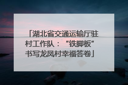 湖北省交通运输厅驻村工作队：“铁脚板”书写龙凤村幸福答卷