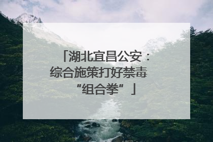 湖北宜昌公安：综合施策打好禁毒“组合拳”