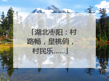 湖北枣阳：村路畅，皇桃俏，村民乐……