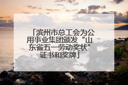滨州市总工会为公用事业集团颁发“山东省五一劳动奖状”证书和奖牌
