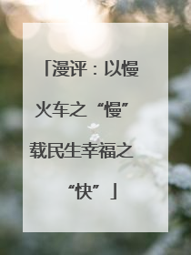 漫评：以慢火车之“慢”载民生幸福之“快”