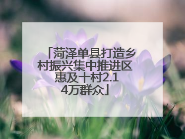 菏泽单县打造乡村振兴集中推进区 惠及十村2.14万群众