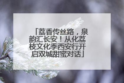 荔香传丝路，泉韵汇长安！从化荔枝文化季西安行开启双城甜蜜对话