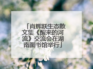 肖辉跃生态散文集《醒来的河流》交流会在湖南图书馆举行