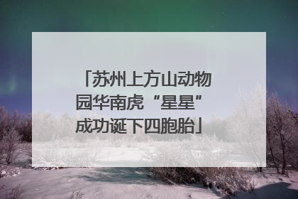 苏州上方山动物园华南虎“星星”成功诞下四胞胎