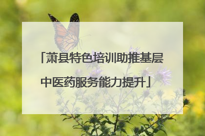 萧县特色培训助推基层中医药服务能力提升