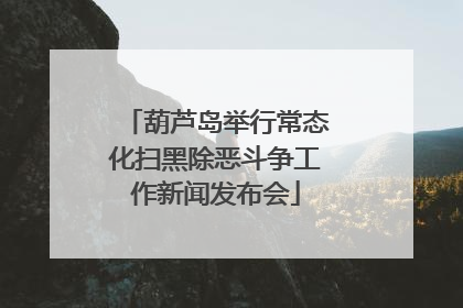 葫芦岛举行常态化扫黑除恶斗争工作新闻发布会