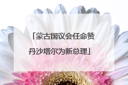 蒙古国议会任命赞丹沙塔尔为新总理