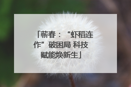 蕲春：“虾稻连作”破困局 科技赋能焕新生