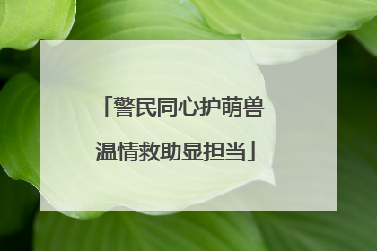 警民同心护萌兽 温情救助显担当
