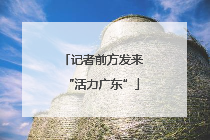 记者前方发来“活力广东”