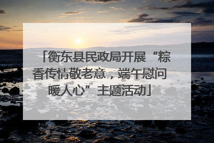 衡东县民政局开展“粽香传情敬老意，端午慰问暖人心”主题活动