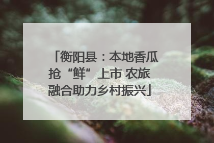 衡阳县：本地香瓜抢“鲜”上市 农旅融合助力乡村振兴