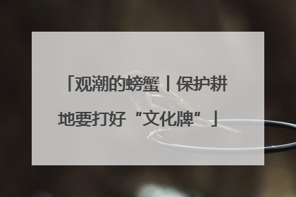 观潮的螃蟹丨保护耕地要打好“文化牌”
