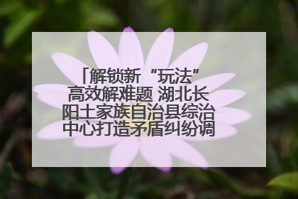 解锁新“玩法” 高效解难题 湖北长阳土家族自治县综治中心打造矛盾纠纷调处“终点站”