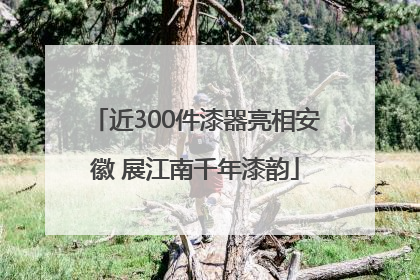近300件漆器亮相安徽 展江南千年漆韵