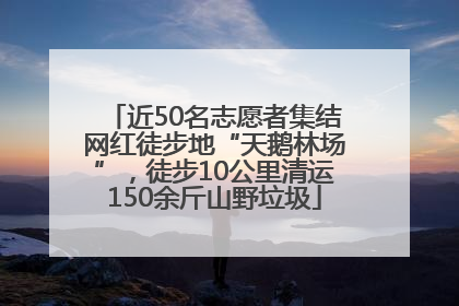 近50名志愿者集结网红徒步地“天鹅林场”，徒步10公里清运150余斤山野垃圾