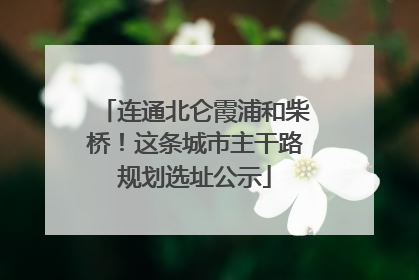 连通北仑霞浦和柴桥！这条城市主干路规划选址公示