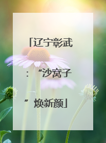辽宁彰武：“沙窝子”焕新颜