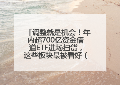 调整就是机会！年内超700亿资金借道ETF进场扫货，这些板块最被看好（附名单）