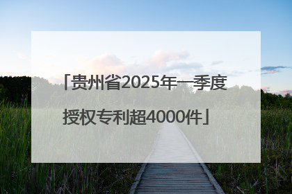 贵州省2025年一季度授权专利超4000件