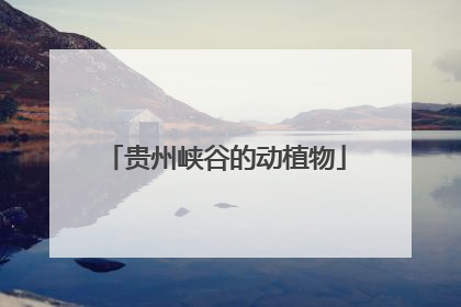 贵州峡谷的动植物
