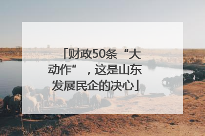 财政50条“大动作”，这是山东发展民企的决心