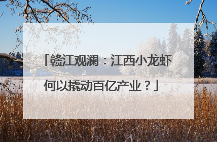 赣江观澜：江西小龙虾何以撬动百亿产业？