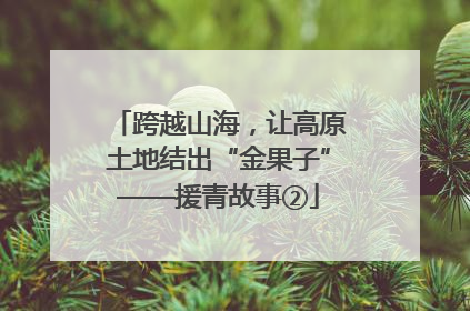 跨越山海，让高原土地结出“金果子”——援青故事②