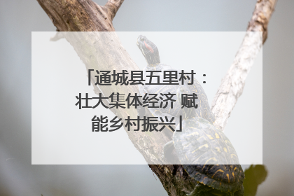 通城县五里村：壮大集体经济 赋能乡村振兴