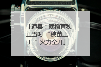 道县：晚稻育秧正当时 “秧苗工厂”火力全开