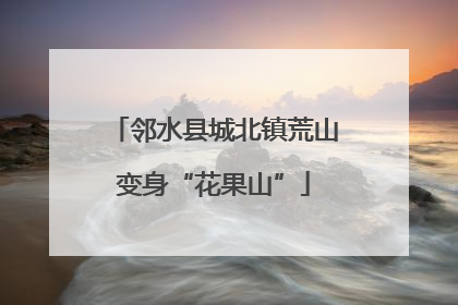 邻水县城北镇荒山变身“花果山”