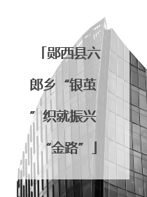 郧西县六郎乡“银茧”织就振兴“金路”