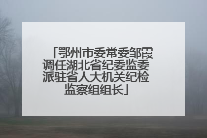 鄂州市委常委邹霞调任湖北省纪委监委派驻省人大机关纪检监察组组长