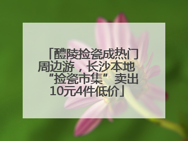 醴陵捡瓷成热门周边游，长沙本地“捡瓷市集”卖出10元4件低价