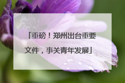 重磅！郑州出台重要文件，事关青年发展