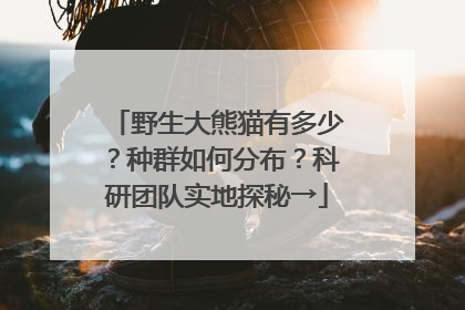 野生大熊猫有多少？种群如何分布？科研团队实地探秘→