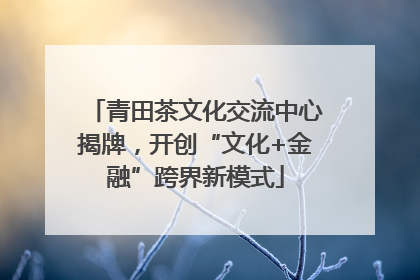 青田茶文化交流中心揭牌，开创“文化+金融”跨界新模式