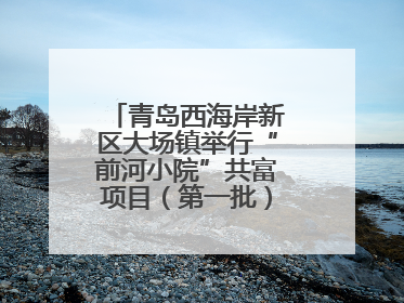 青岛西海岸新区大场镇举行“前河小院”共富项目（第一批）集中开业仪式