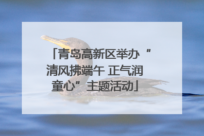 青岛高新区举办“清风拂端午 正气润童心”主题活动