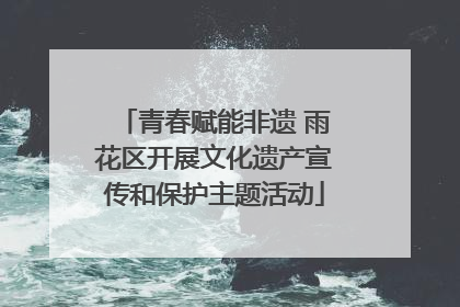 青春赋能非遗 雨花区开展文化遗产宣传和保护主题活动