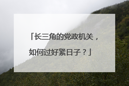 长三角的党政机关，如何过好紧日子？