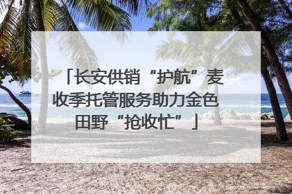 长安供销“护航”麦收季托管服务助力金色田野“抢收忙”
