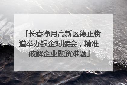 长春净月高新区德正街道举办银企对接会，精准破解企业融资难题