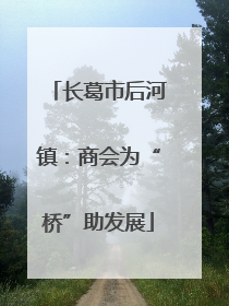 长葛市后河镇：商会为“桥”助发展