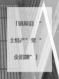 镇原县 “土特产”变“金招牌”