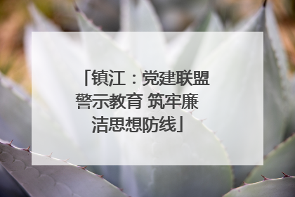 镇江：党建联盟警示教育 筑牢廉洁思想防线