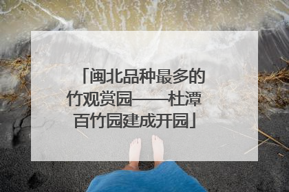 闽北品种最多的竹观赏园——杜潭百竹园建成开园