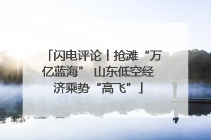 闪电评论丨抢滩“万亿蓝海” 山东低空经济乘势“高飞”